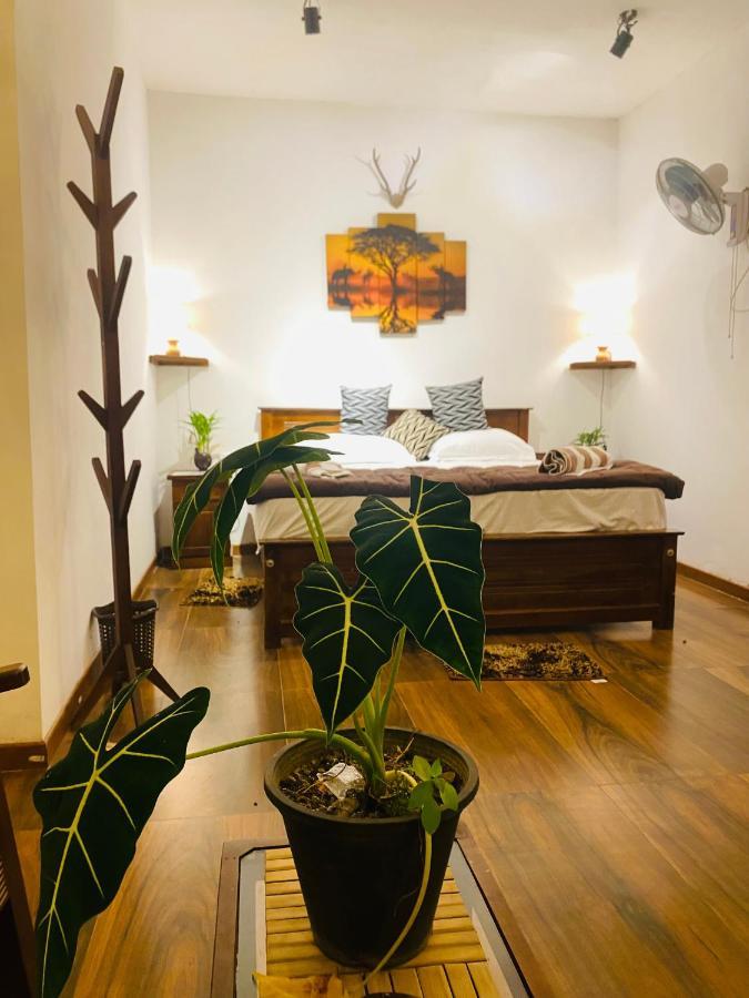 The Kingdom Of Ella Apartment Екстериор снимка