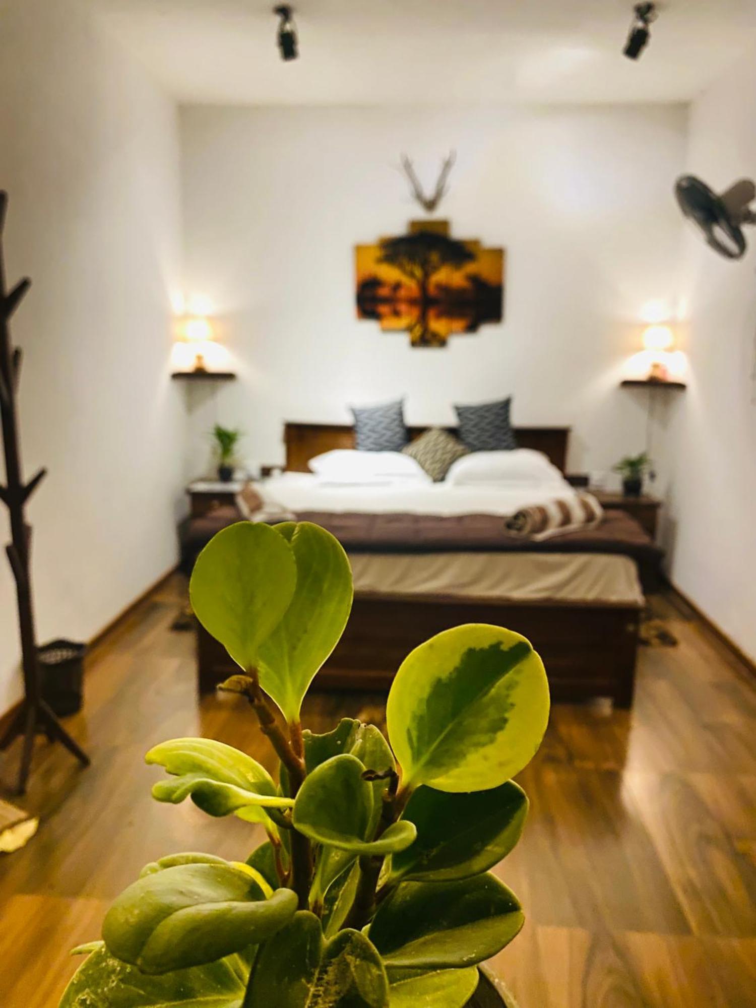 The Kingdom Of Ella Apartment Екстериор снимка