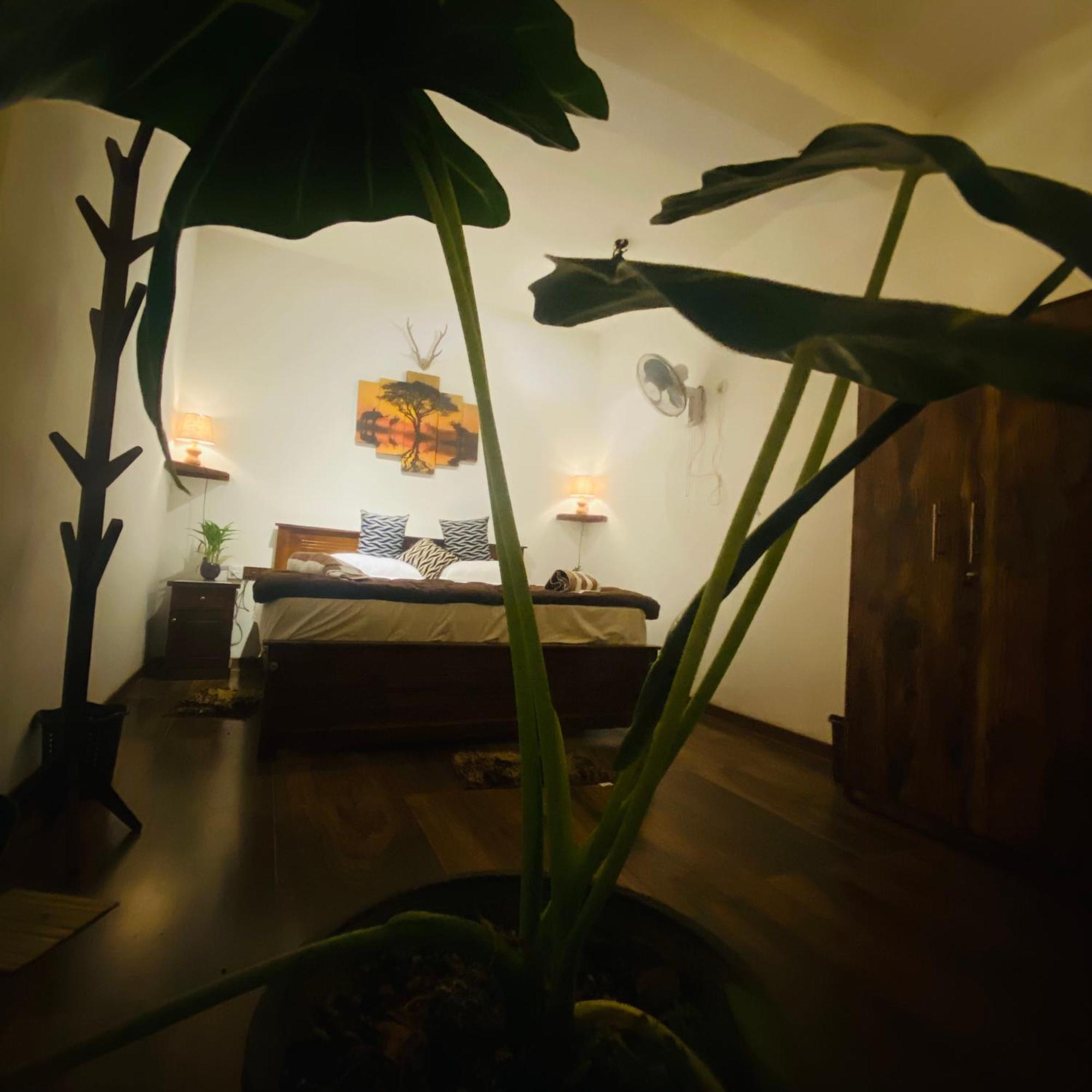 The Kingdom Of Ella Apartment Екстериор снимка